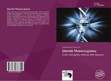 Questin Monooxygenase的封面