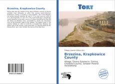 Capa do livro de Brzezina, Krapkowice County 