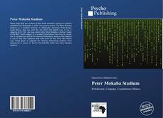 Buchcover von Peter Mokaba Stadium