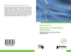 Copertina di Pyrroline-2-Carboxylate Reductase