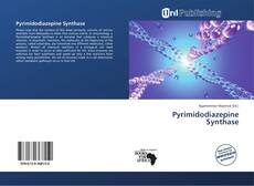 Pyrimidodiazepine Synthase kitap kapağı