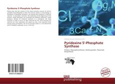 Couverture de Pyridoxine 5'-Phosphate Synthase