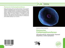 Putrescine Carbamoyltransferase kitap kapağı