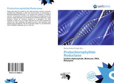 Protochlorophyllide Reductase kitap kapağı