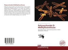 Buchcover von Polysaccharide O-Methyltransferase