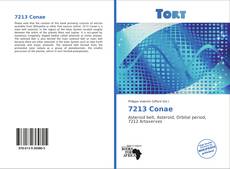 Capa do livro de 7213 Conae 