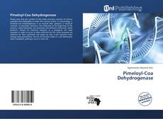 Pimeloyl-Coa Dehydrogenase kitap kapağı