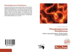 Bookcover of Phosphoglycerate Phosphatase