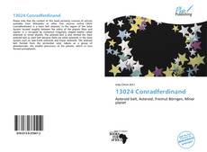 Bookcover of 13024 Conradferdinand