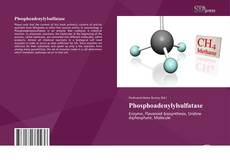 Bookcover of Phosphoadenylylsulfatase