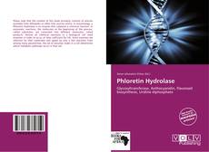 Buchcover von Phloretin Hydrolase