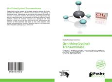 Bookcover of Ornithine(Lysine) Transaminase