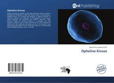 Couverture de Opheline Kinase