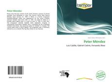 Portada del libro de Peter Méndez