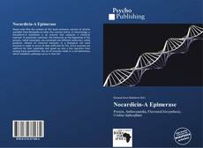 Buchcover von Nocardicin-A Epimerase