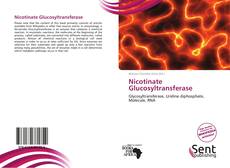 Nicotinate Glucosyltransferase的封面