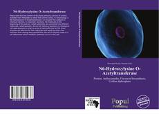 N6-Hydroxylysine O-Acetyltransferase kitap kapağı