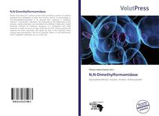 Buchcover von N,N-Dimethylformamidase