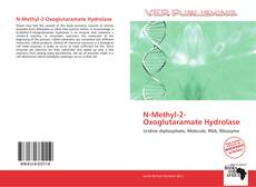 N-Methyl-2-Oxoglutaramate Hydrolase的封面