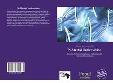 Copertina di N-Methyl Nucleosidase