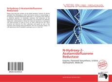 N-Hydroxy-2-Acetamidofluorene Reductase kitap kapağı