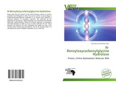 N-Benzyloxycarbonylglycine Hydrolase kitap kapağı