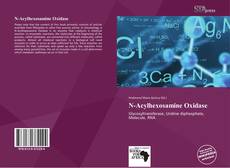 Bookcover of N-Acylhexosamine Oxidase