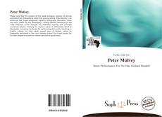 Couverture de Peter Mulvey