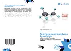 Bookcover of N-Acetylgalactosaminoglycan Deacetylase