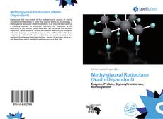 Buchcover von Methylglyoxal Reductase (Nadh-Dependent)