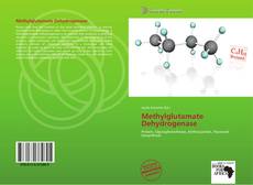 Bookcover of Methylglutamate Dehydrogenase