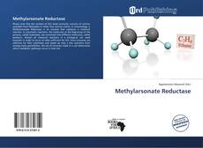 Methylarsonate Reductase kitap kapağı