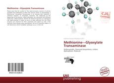 Couverture de Methionine—Glyoxylate Transaminase