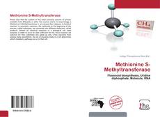 Обложка Methionine S-Methyltransferase