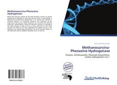 Capa do livro de Methanosarcina-Phenazine Hydrogenase 