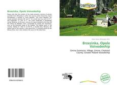 Portada del libro de Brzezinka, Opole Voivodeship