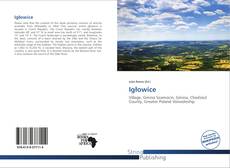 Buchcover von Igłowice