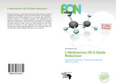 Bookcover of L-Methionine (R)-S-Oxide Reductase