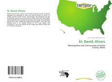 Portada del libro de St. David, Illinois