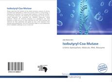 Couverture de Isobutyryl-Coa Mutase