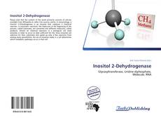 Inositol 2-Dehydrogenase kitap kapağı