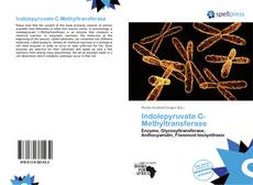 Indolepyruvate C-Methyltransferase kitap kapağı