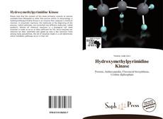 Capa do livro de Hydroxymethylpyrimidine Kinase 