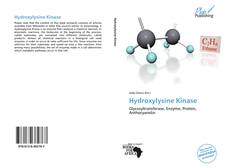 Bookcover of Hydroxylysine Kinase