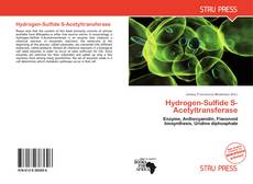 Borítókép a  Hydrogen-Sulfide S-Acetyltransferase - hoz