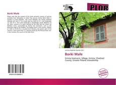 Couverture de Borki Małe