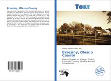 Capa do livro de Brzeziny, Olesno County 