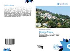 Portada del libro de Bzinica Nowa