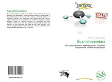 Copertina di Guanidinoacetase