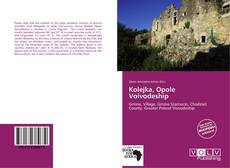 Kolejka, Opole Voivodeship kitap kapağı